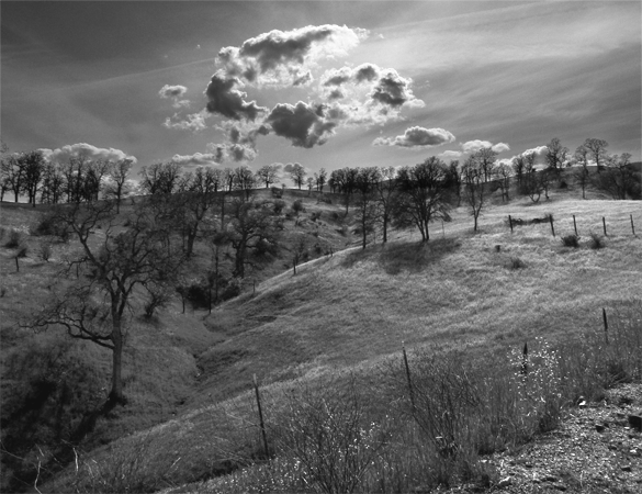 elk creek valley, spring 2009